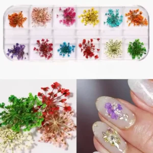 Boîte de 12 compartiments d'ombelles et petites fleurs séchées véritables pour Nail Art dans les tons de jaune, orange, rouge, fuchsia, blanc et vert, avec un zoom sur la texture des plantes naturelles et un exemple de manucure en gel laiteux incrusté, Cosminty La Réunion.