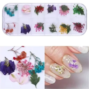 Boîtier transparent de 12 compartiments contenant des fleurs séchées véritables et des micro-feuilles colorées pour Nail Art, accompagné d'un zoom sur les pétales (bleu, violet, rose, vert) et d'un exemple de manucure effet Milky de style romantique, Cosminty La Réunion.
